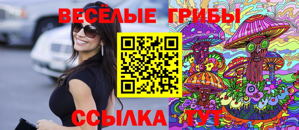 Урюпинск  Псилоцибиновые грибы MAGIC MUSHROOMS  Вход с VPN 