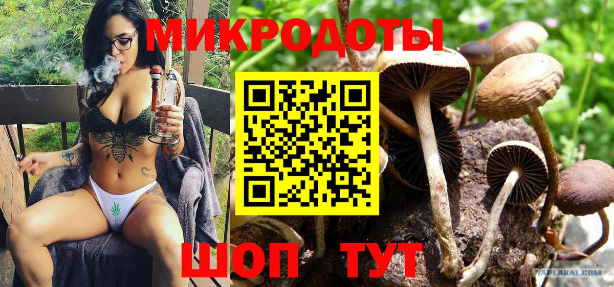 Псилоцибиновые грибы Psilocybine cubensis Урюпинск